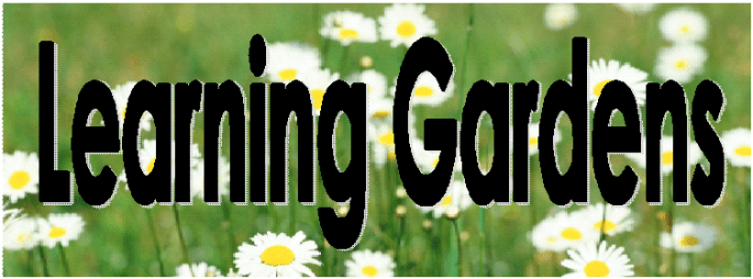 natural learning banner